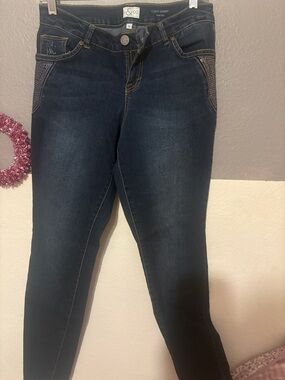 S&CO Dark Blue Curvy Skinny Jeans